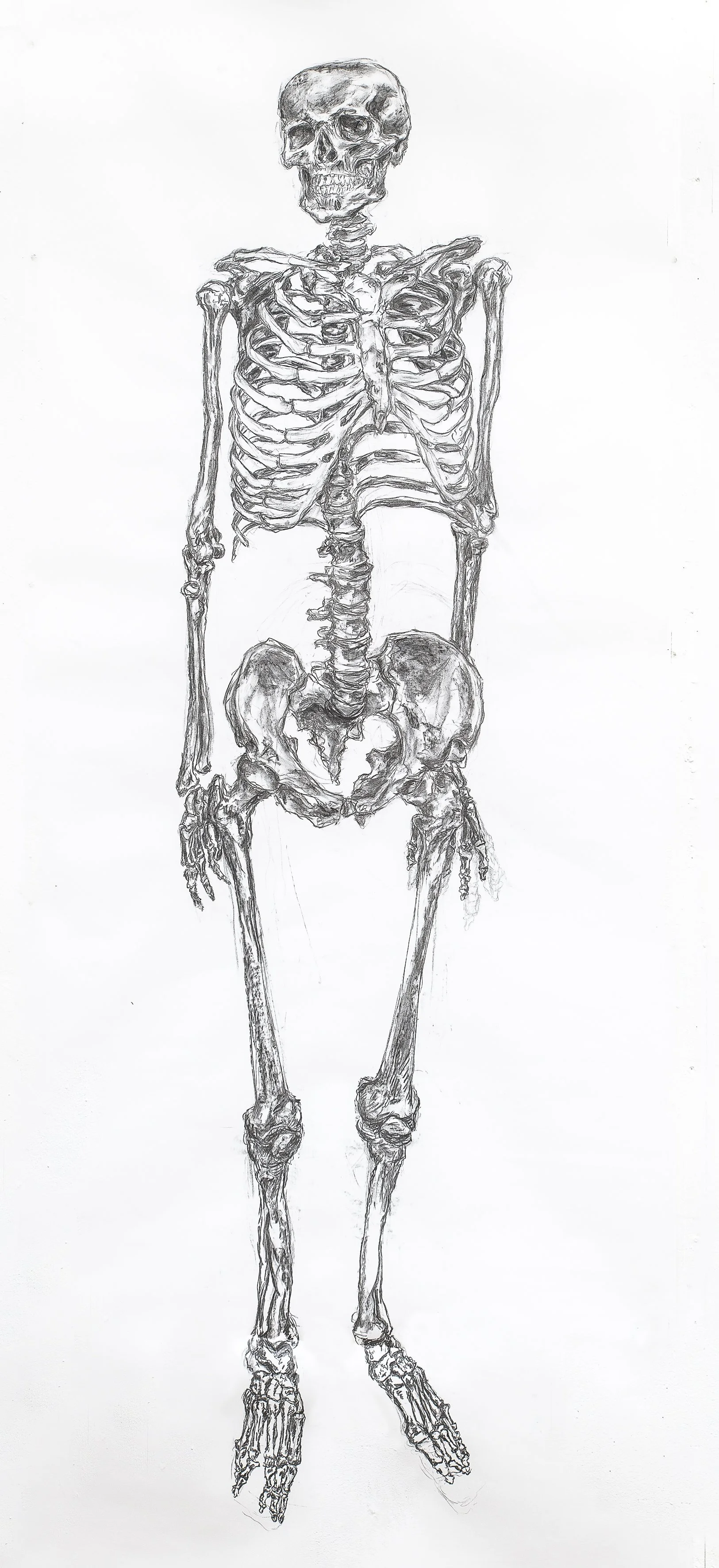 5 big skeleton.jpg