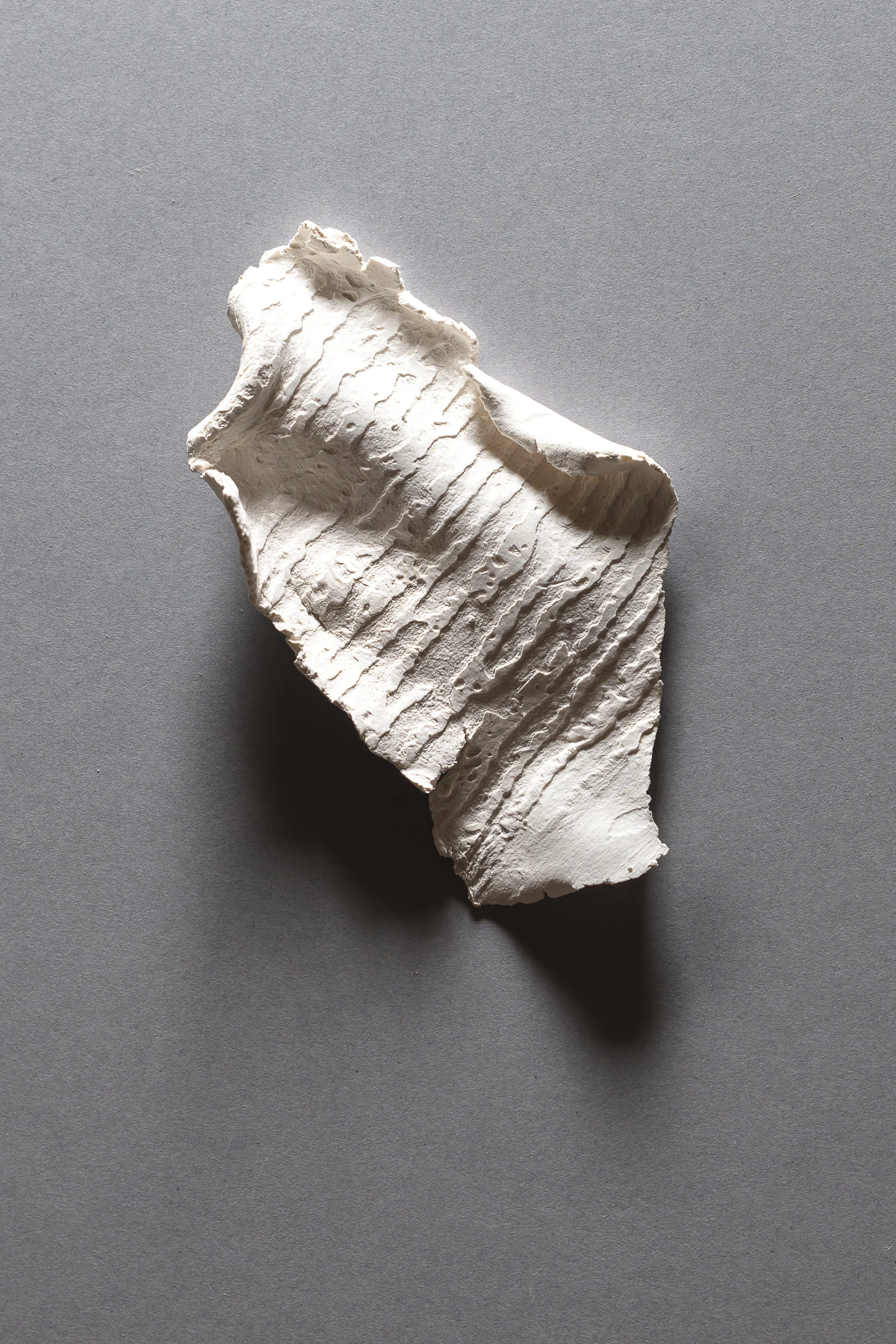 High res-_DSC8369.jpg