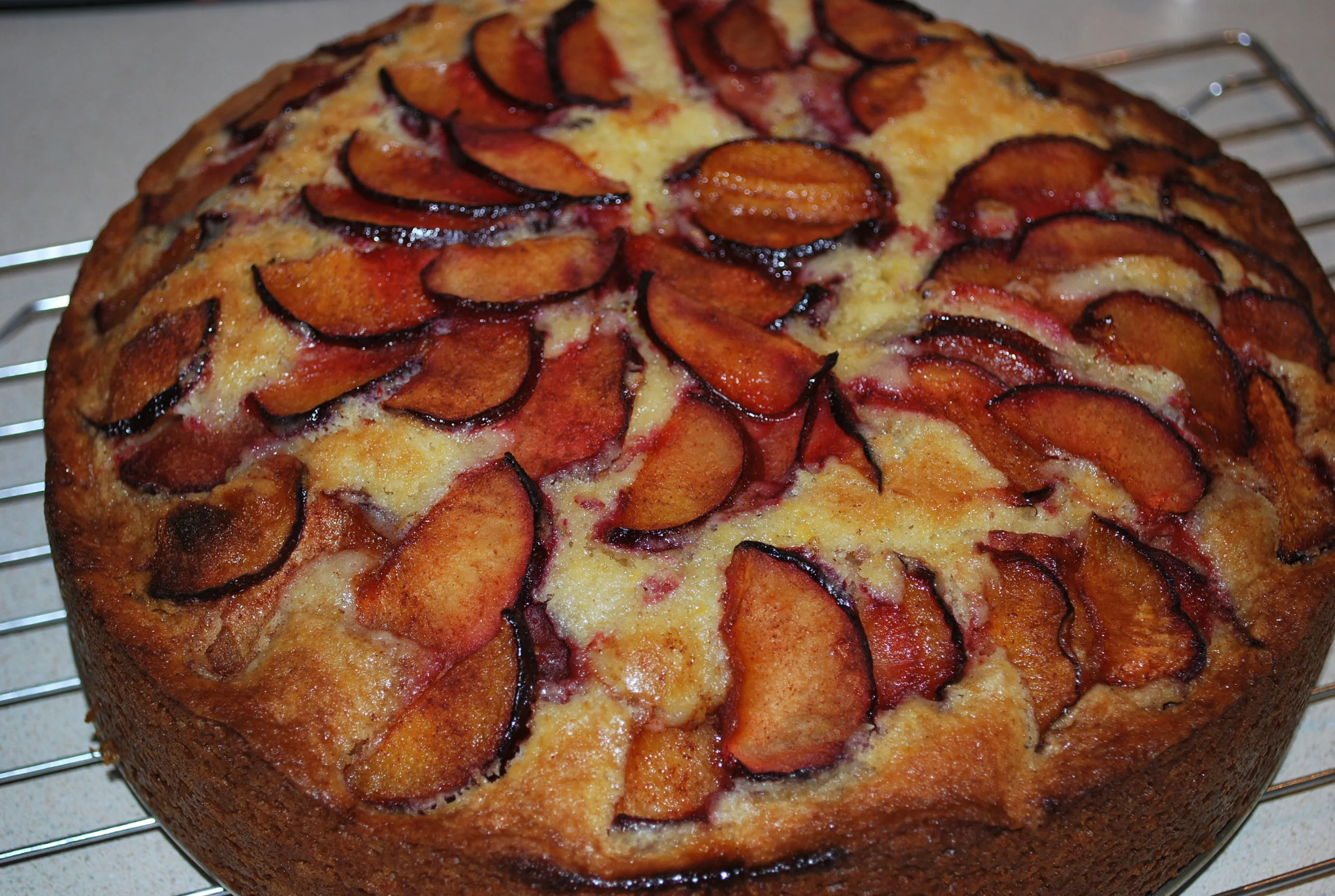 Plum Cake with a Splash of Orange