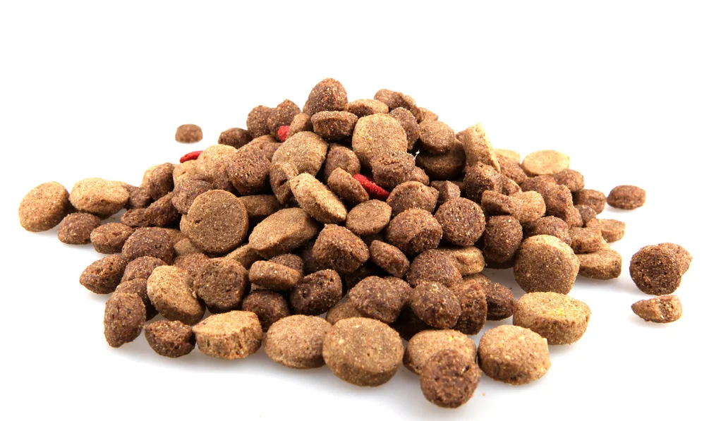 pet-food.jpg