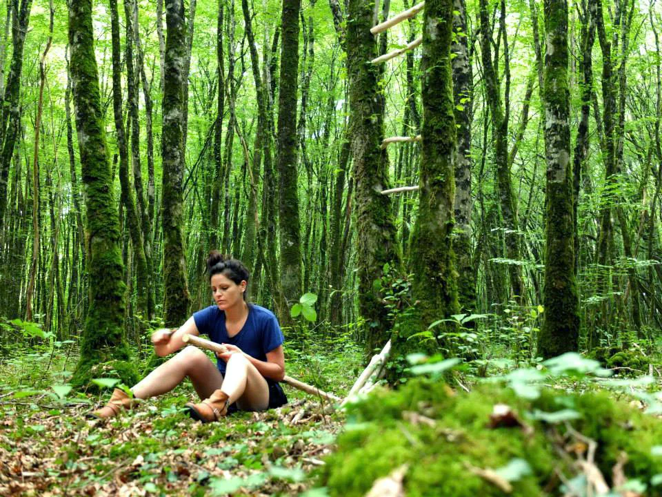 meinforest.jpg