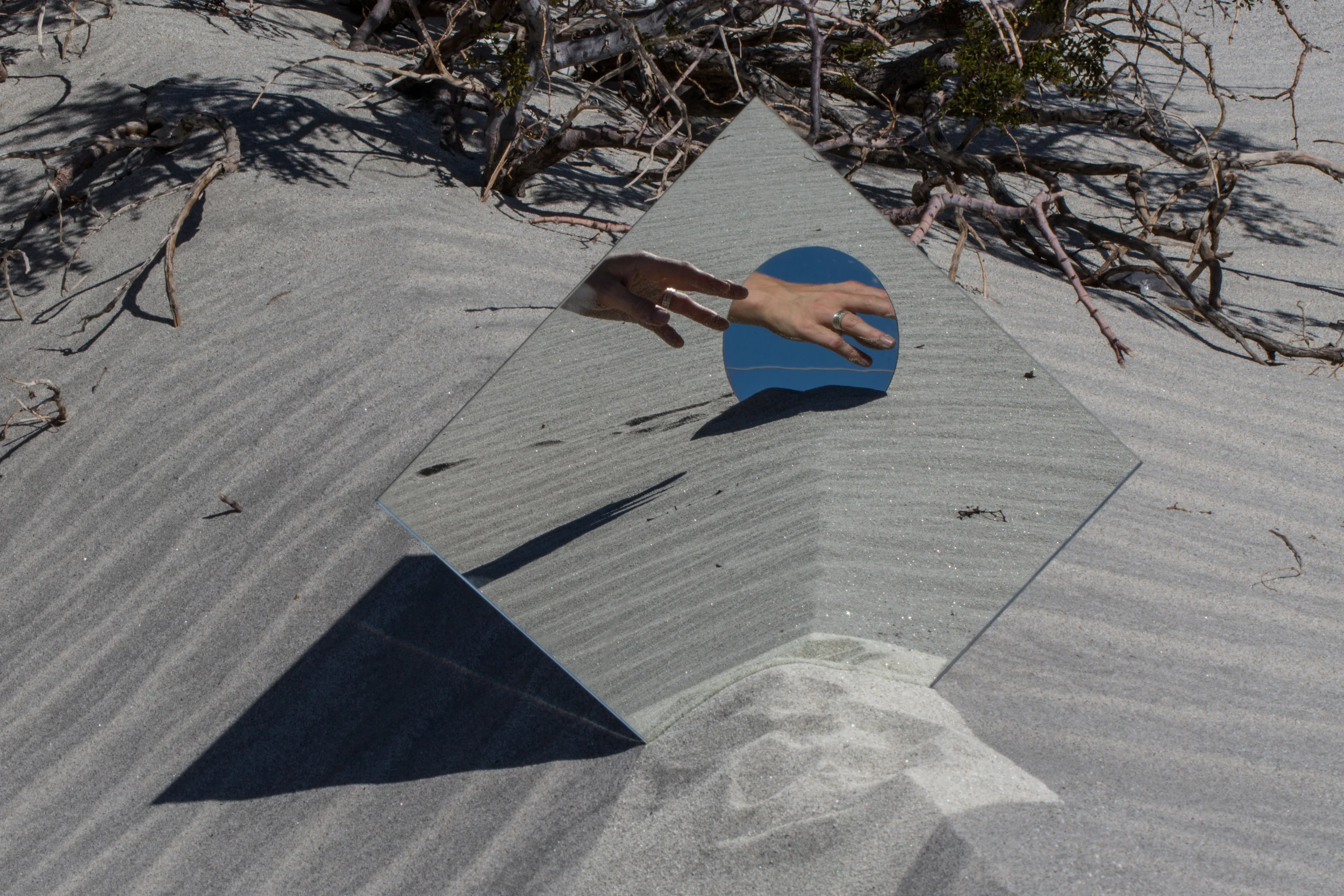  photo by  Lauren Coleman  