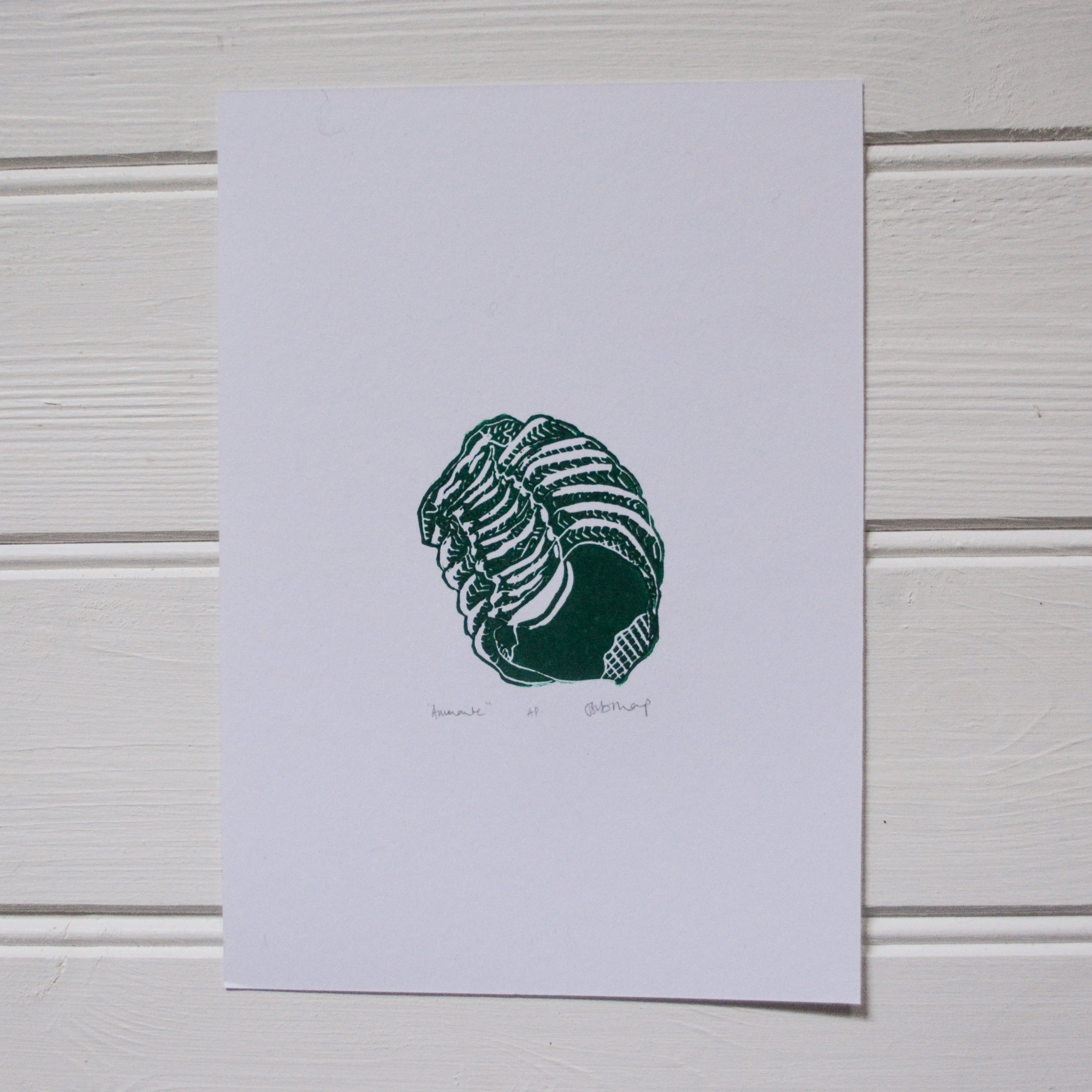 Linocut Ammonite, Handprinted, Lino, Relief Print