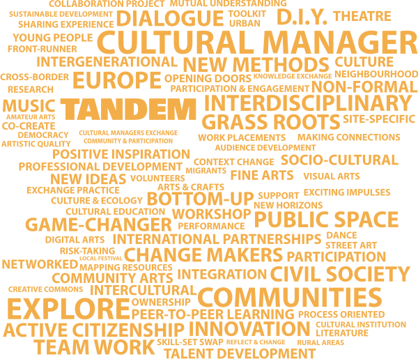 TANDEM word cloud.png