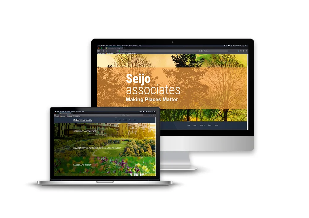 Portfolio Graphic Seijo 2.jpg