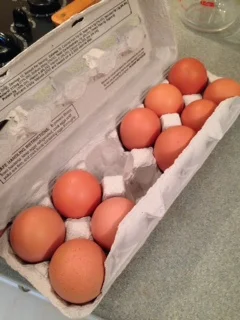 Delicious local eggs from Earth Biscuit Farms out of Iowa Valley Food Coop. 