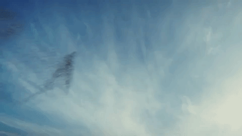 giphy.gif