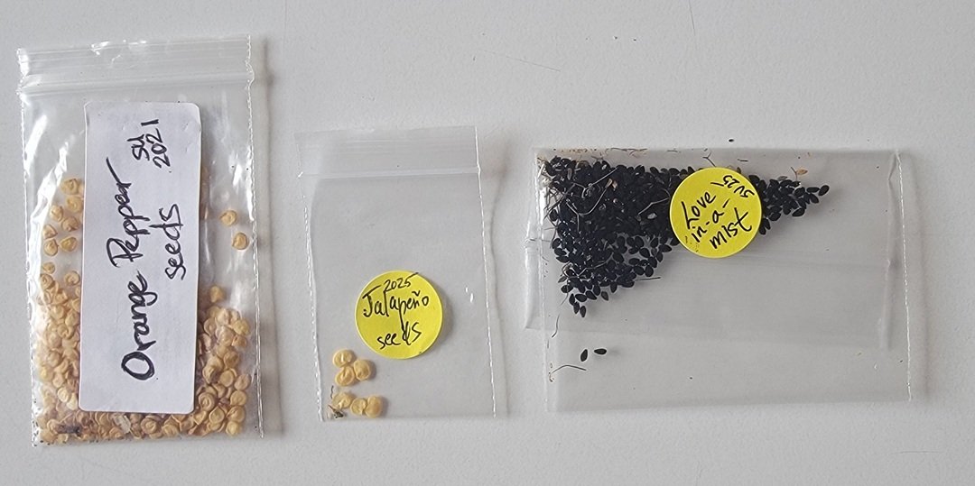 3 plastic bags with saved seeds from a garden harvest