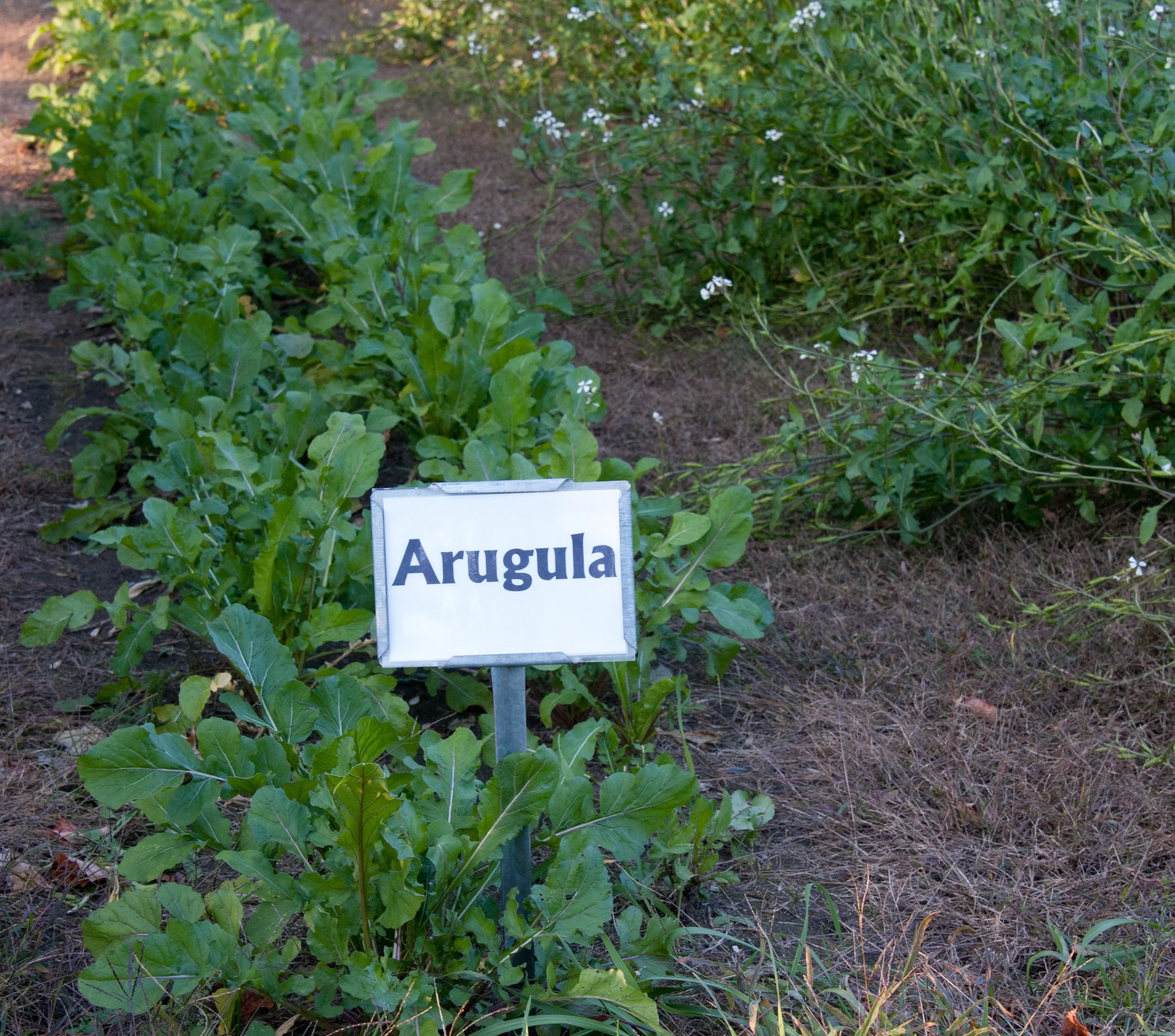 The (grim? hopeful?) future of small-scale farming in 2015