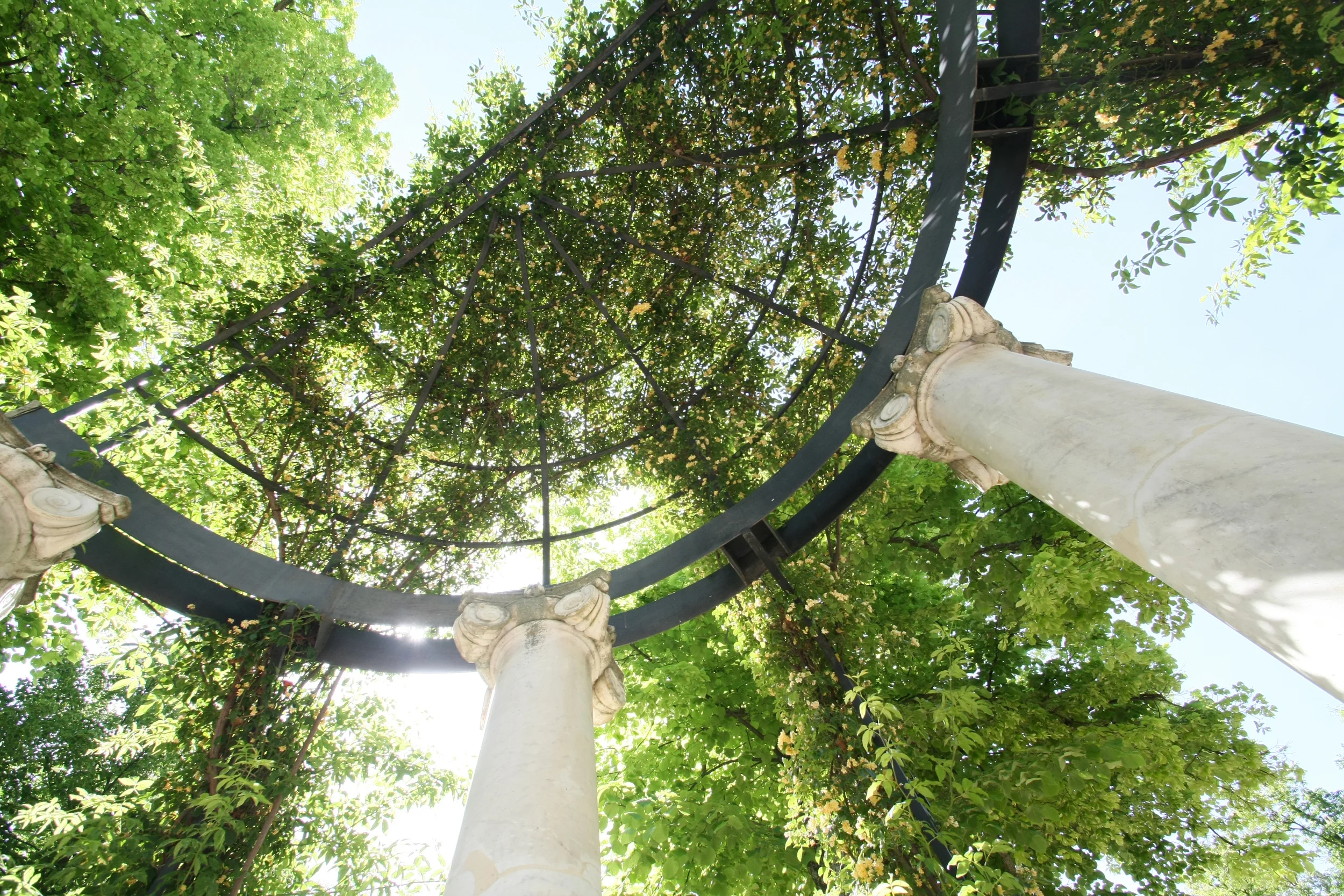 How the Growing Green Movement Will Benefit You