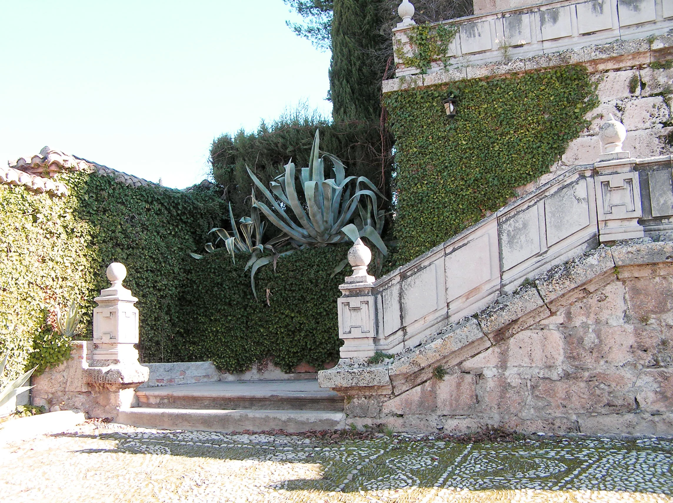 Religion and Ecology: Alliance of Faith