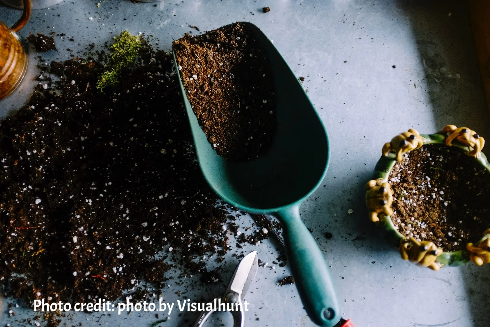 soil preparation.jpg