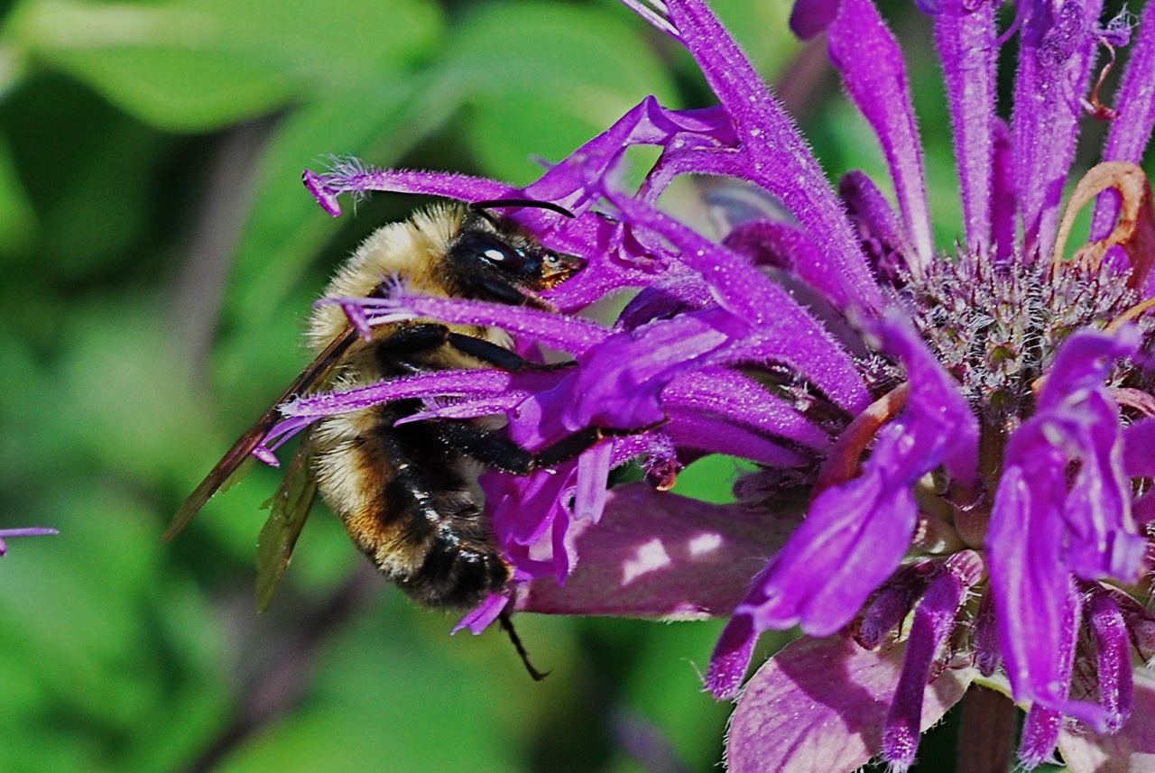 Photo credit: pl1602 via Visualhunt / CC BY-NC-SA
