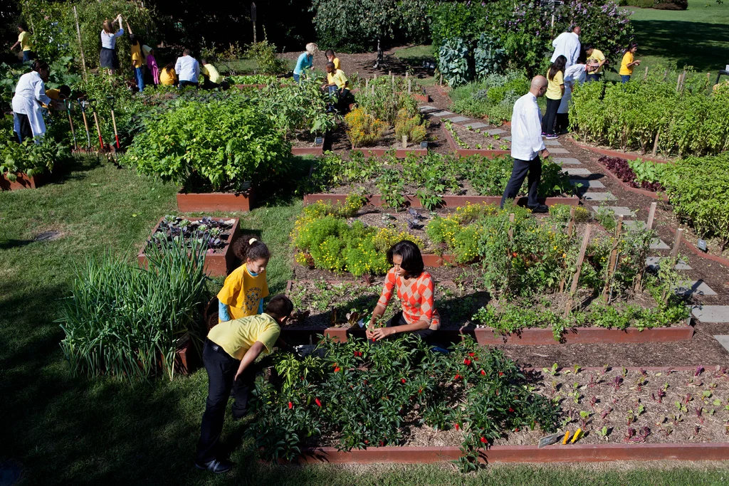 Photo credit: Obama White House via Visualhunt.com