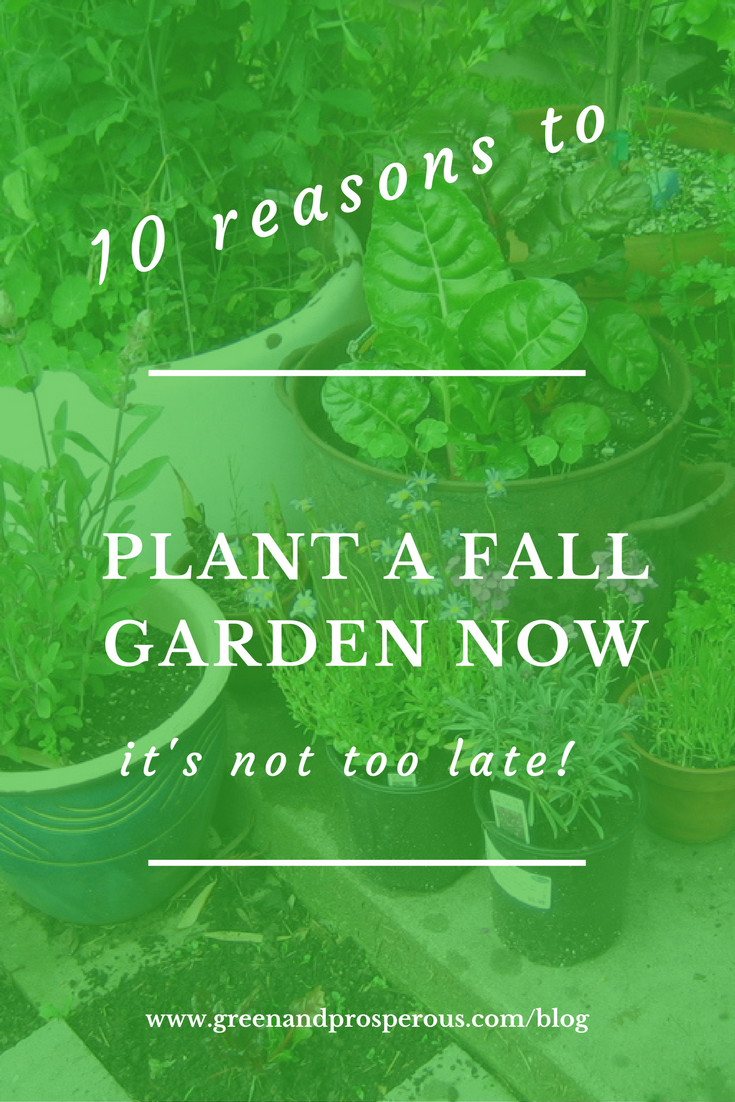 10 Reasons to Plant a Fall Garden Now.png