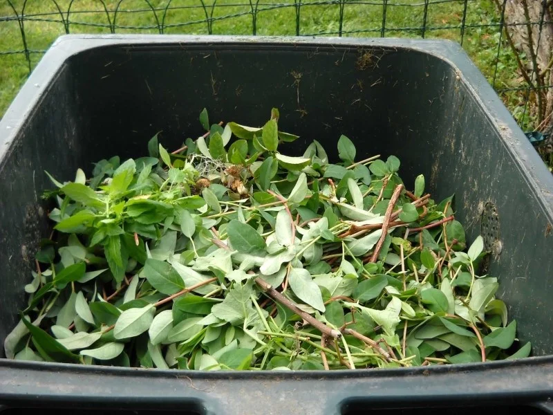 10 Eco-friendly ways to celebrate this Memorial Day
