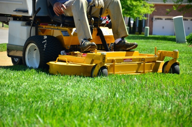 Eco-friendly Ways to Maintain Your Yard