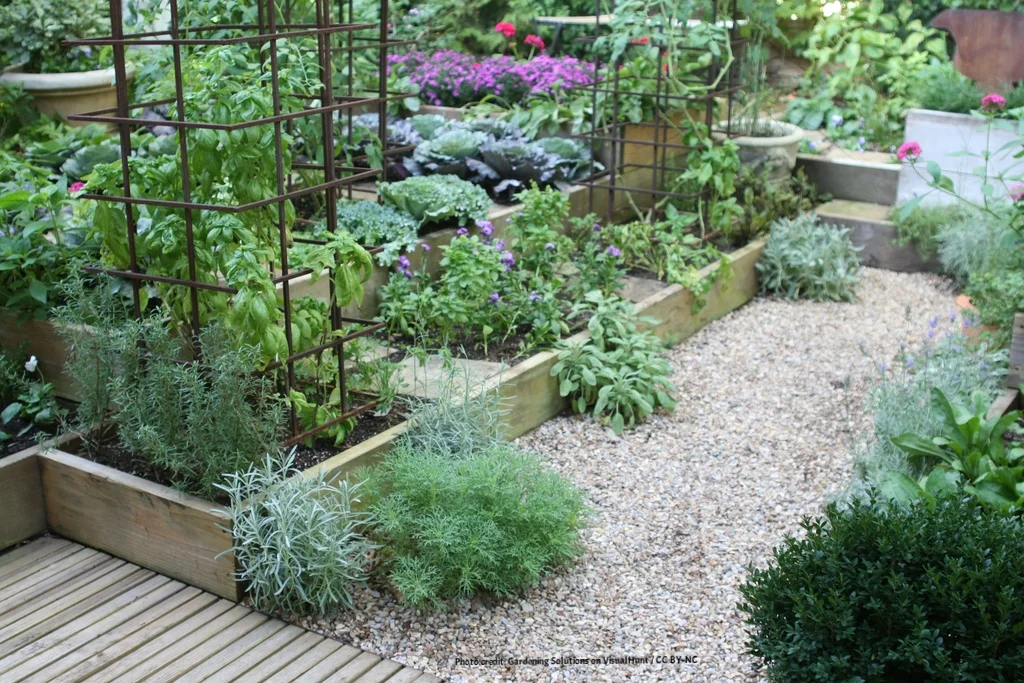 make your container garden thrive 3