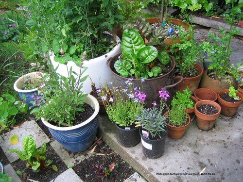 Container Gardening 101: Small Spaces, Big Yields — Green and Prosperous