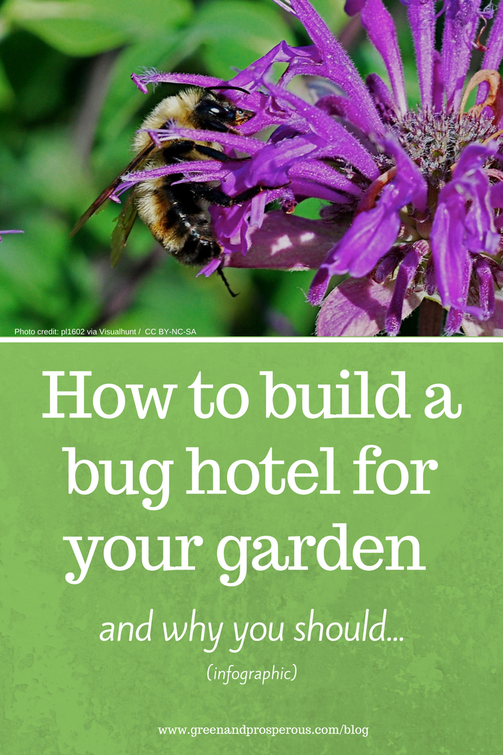 build a bug hotel for your garden