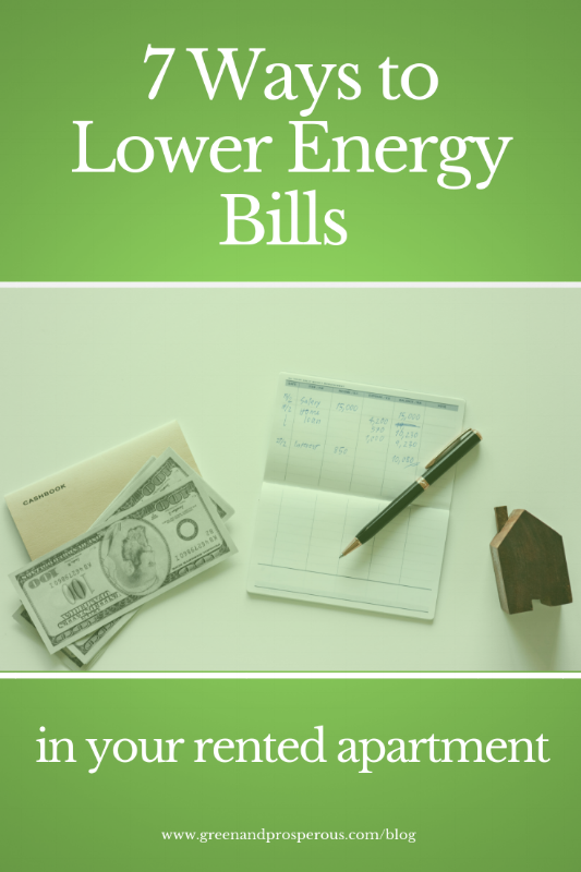 7 Ways to Lower Energy Bills in Your Rented Apartment