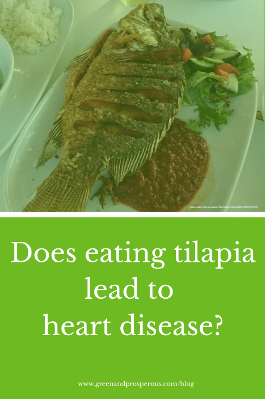 is tilapia healthy?
