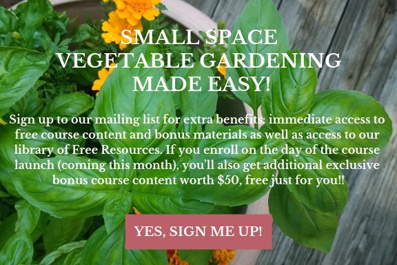 inline blog ad Container Garden Like a Pro.png