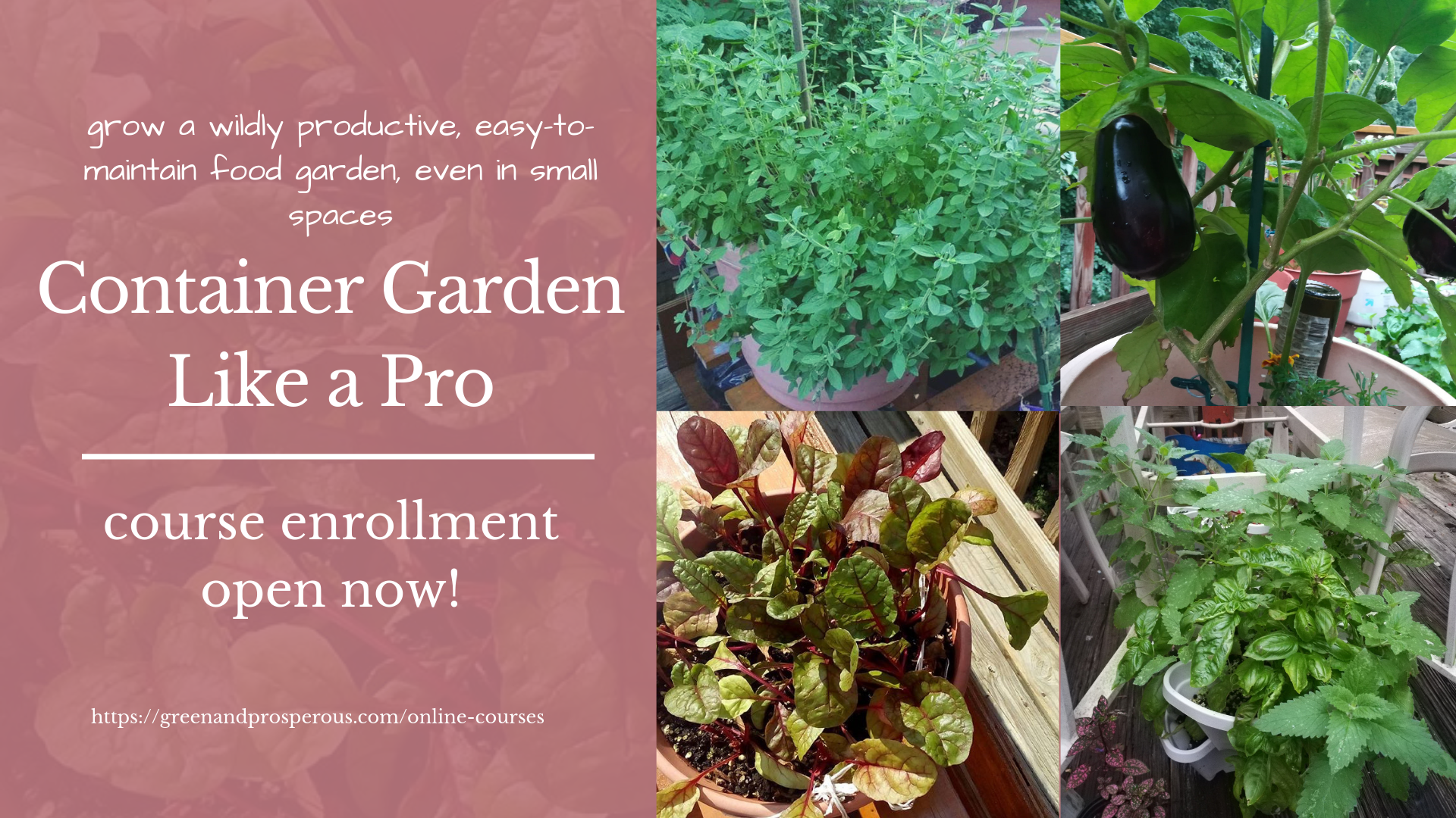 Gardening Tips During The Rainy Days – The Urban Gardening Shop