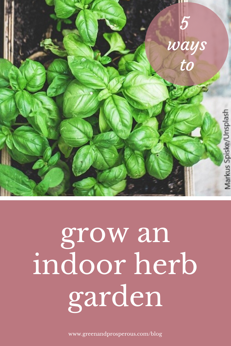 5 Ways to Grow an Indoor Herb Garden