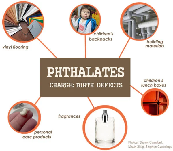 10 Ways that Endocrine Disruptors are Screwing up your Health
