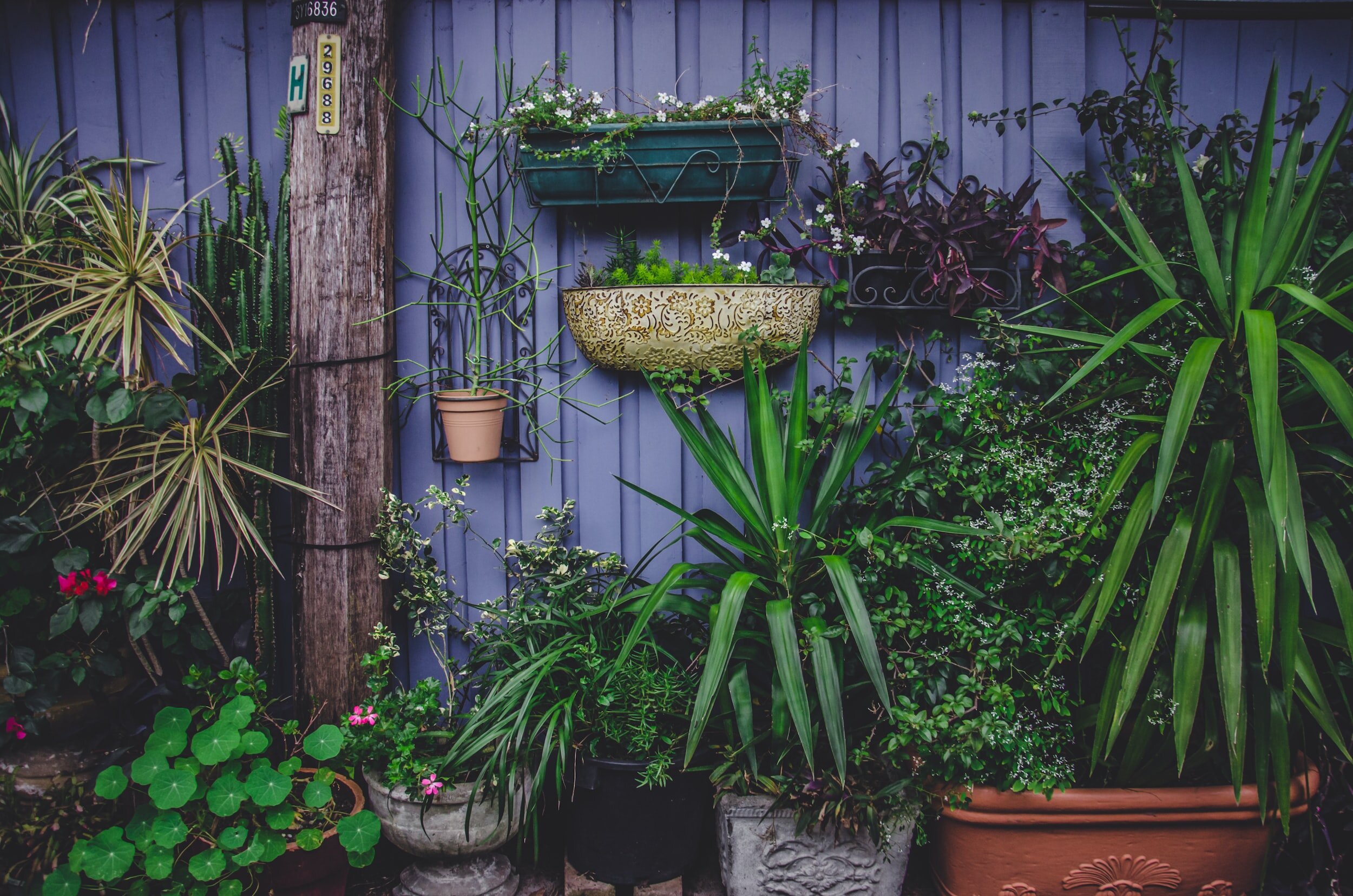 Quickstart Guide to Container Vegetable Gardening • Lovely Greens