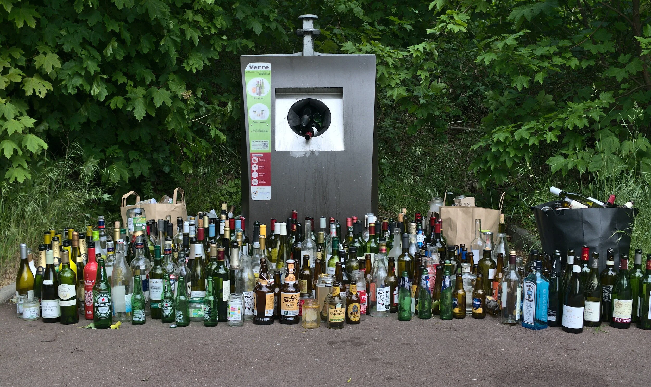 Trash Decomposition: What You Should Know