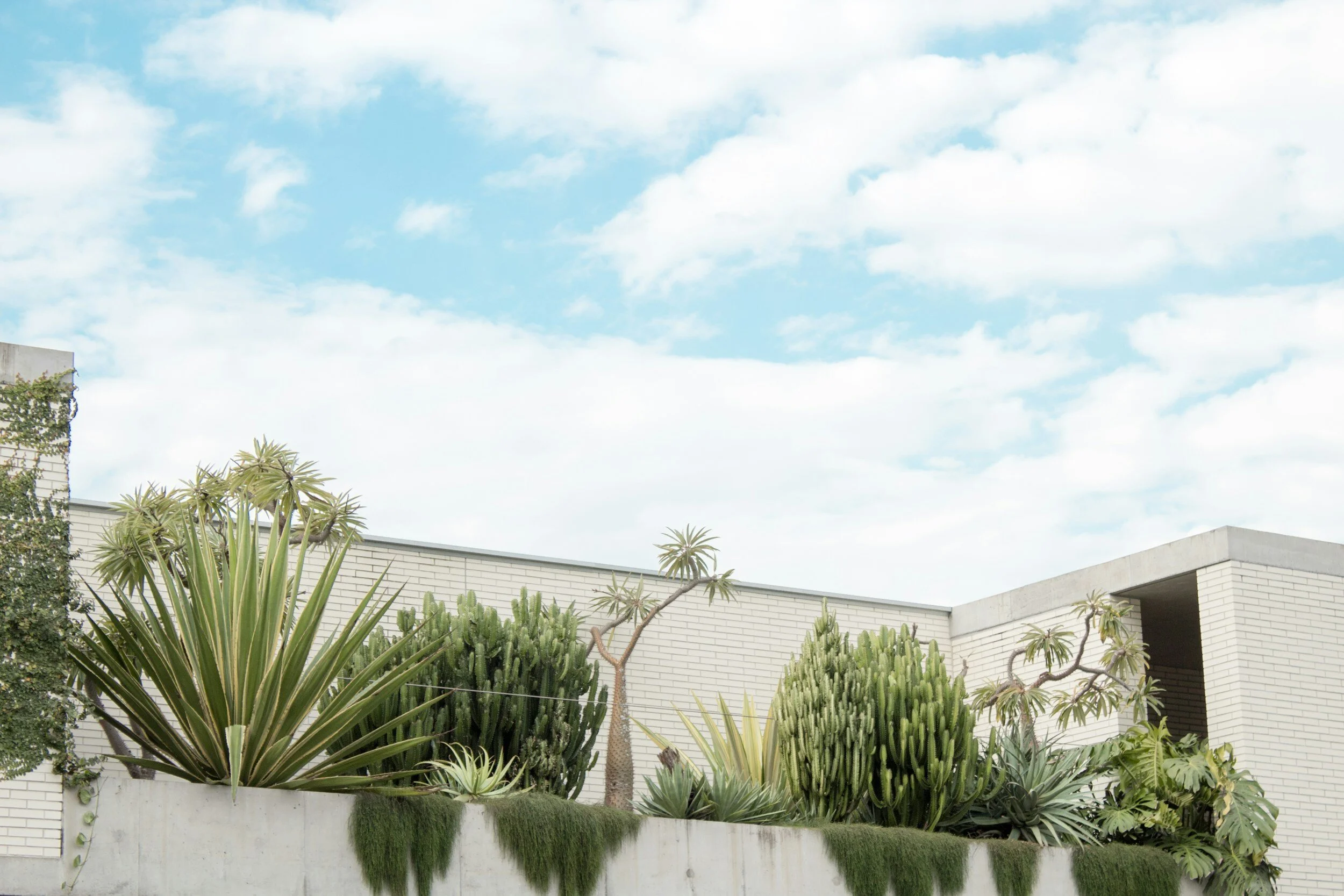 Green Living: Transforming Residential Properties with Eco-Friendly Renovation Practices