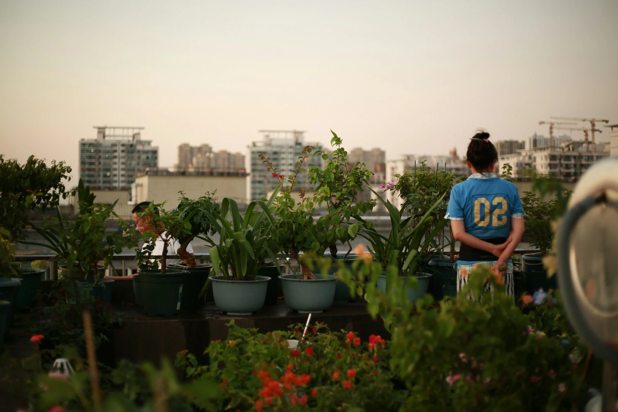 Outdoor Therapy: Transforming Your Garden into a Sanctuary