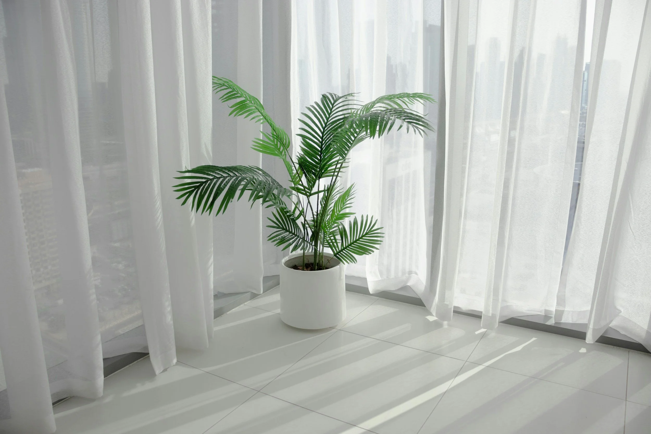 Going Green in Your Apartment: Simple Steps Toward Sustainable Living