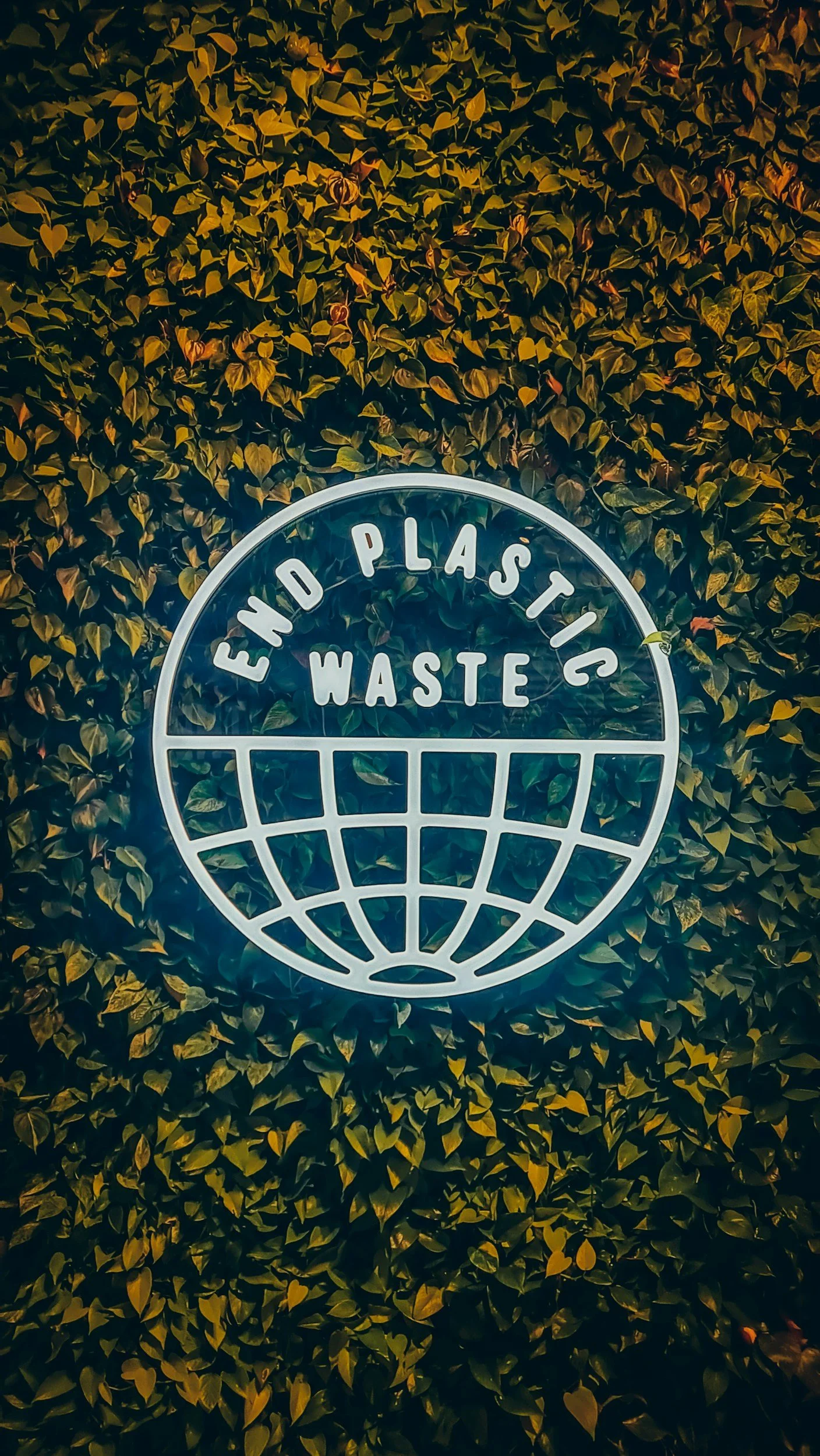 Plastic-Free Living: How to Reduce Single-Use Waste