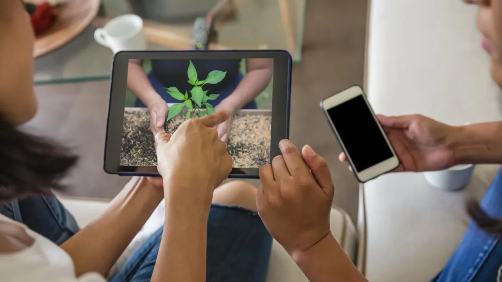 How Online Gardening Courses Can Help You Become a Better Gardener