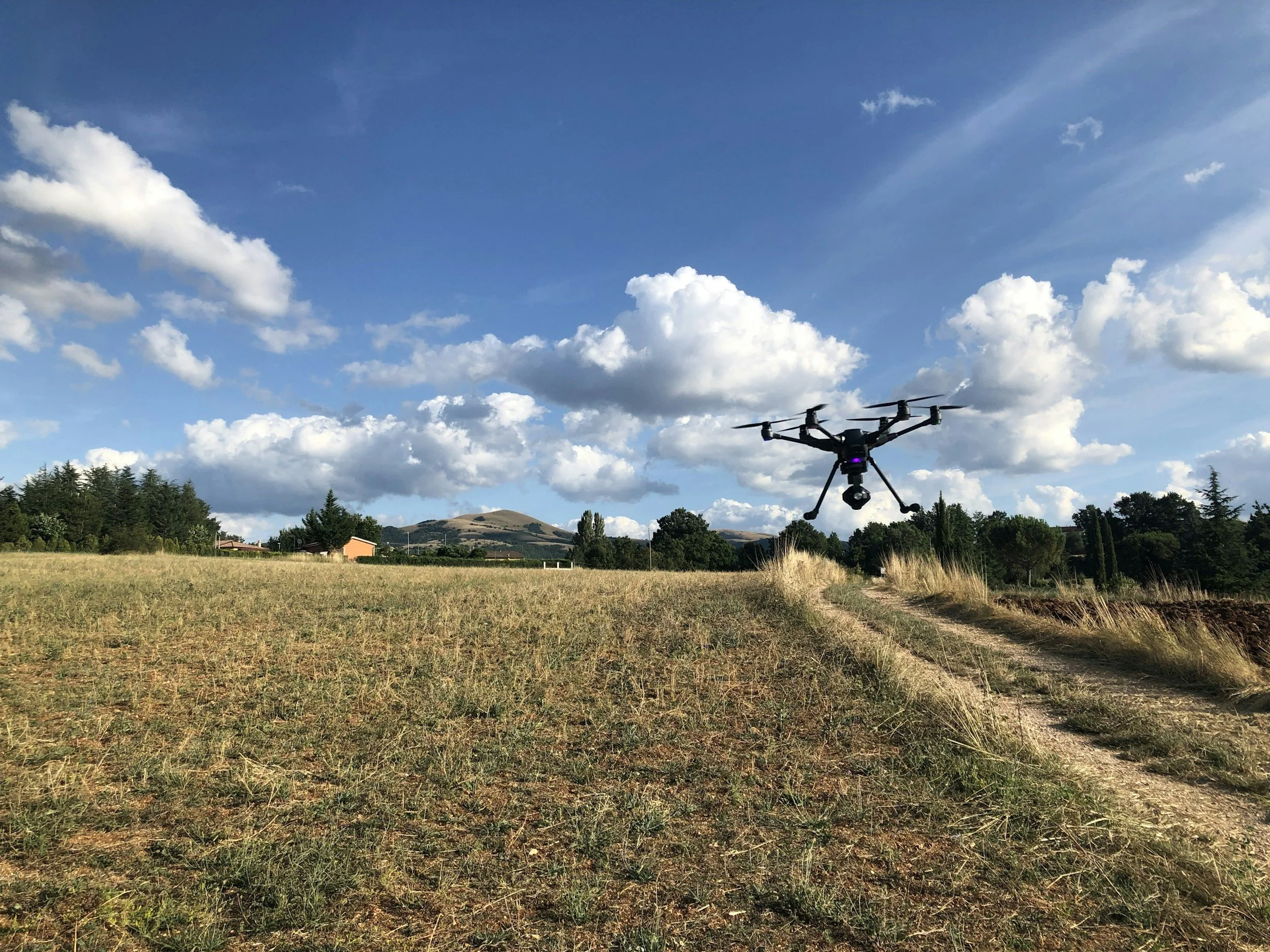 How Modern Farming Techniques Increase Yield and Sustainability