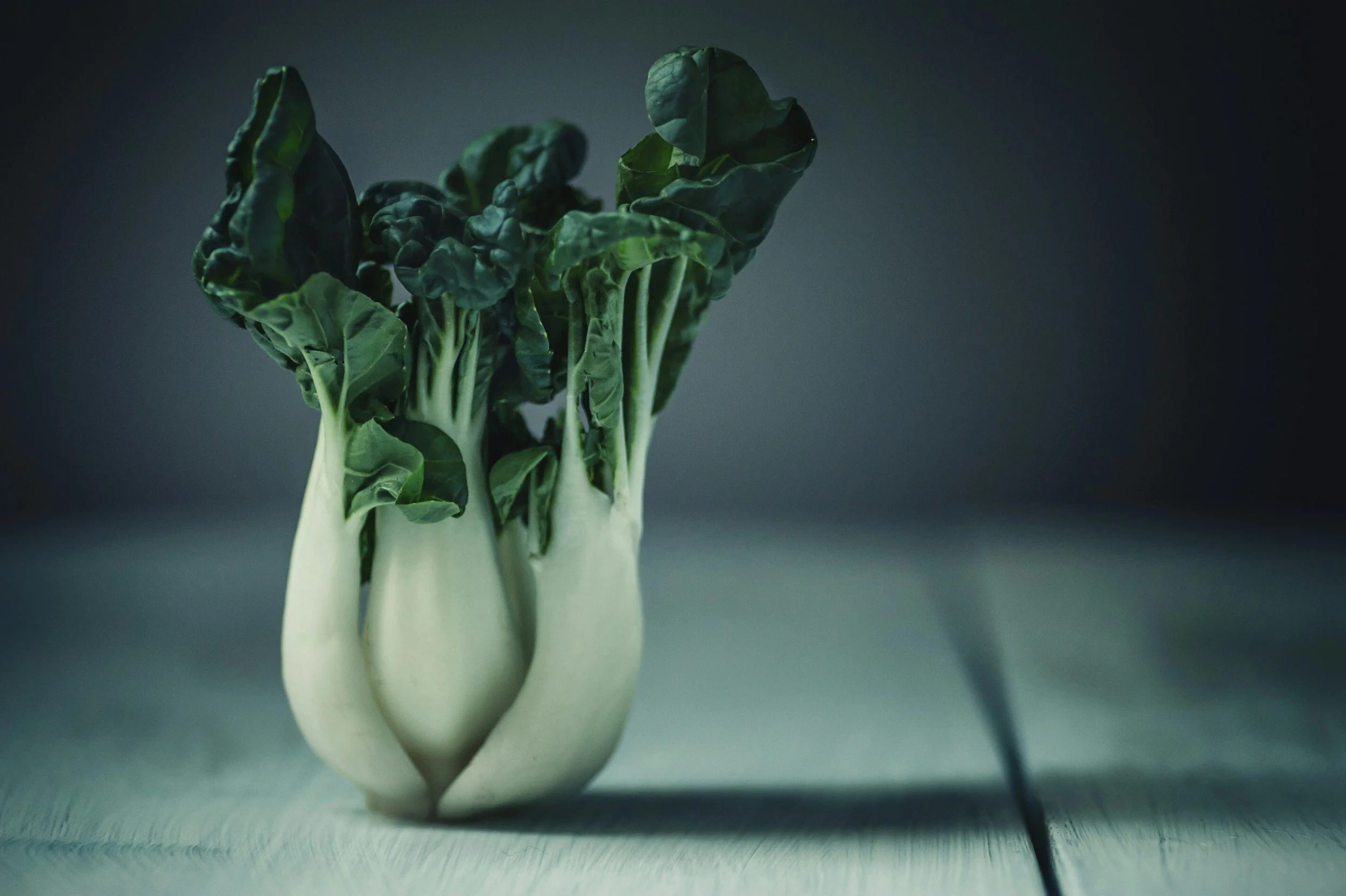 How to Grow Bok Choy Indoors and Outdoors (Beginner-Friendly Guide)