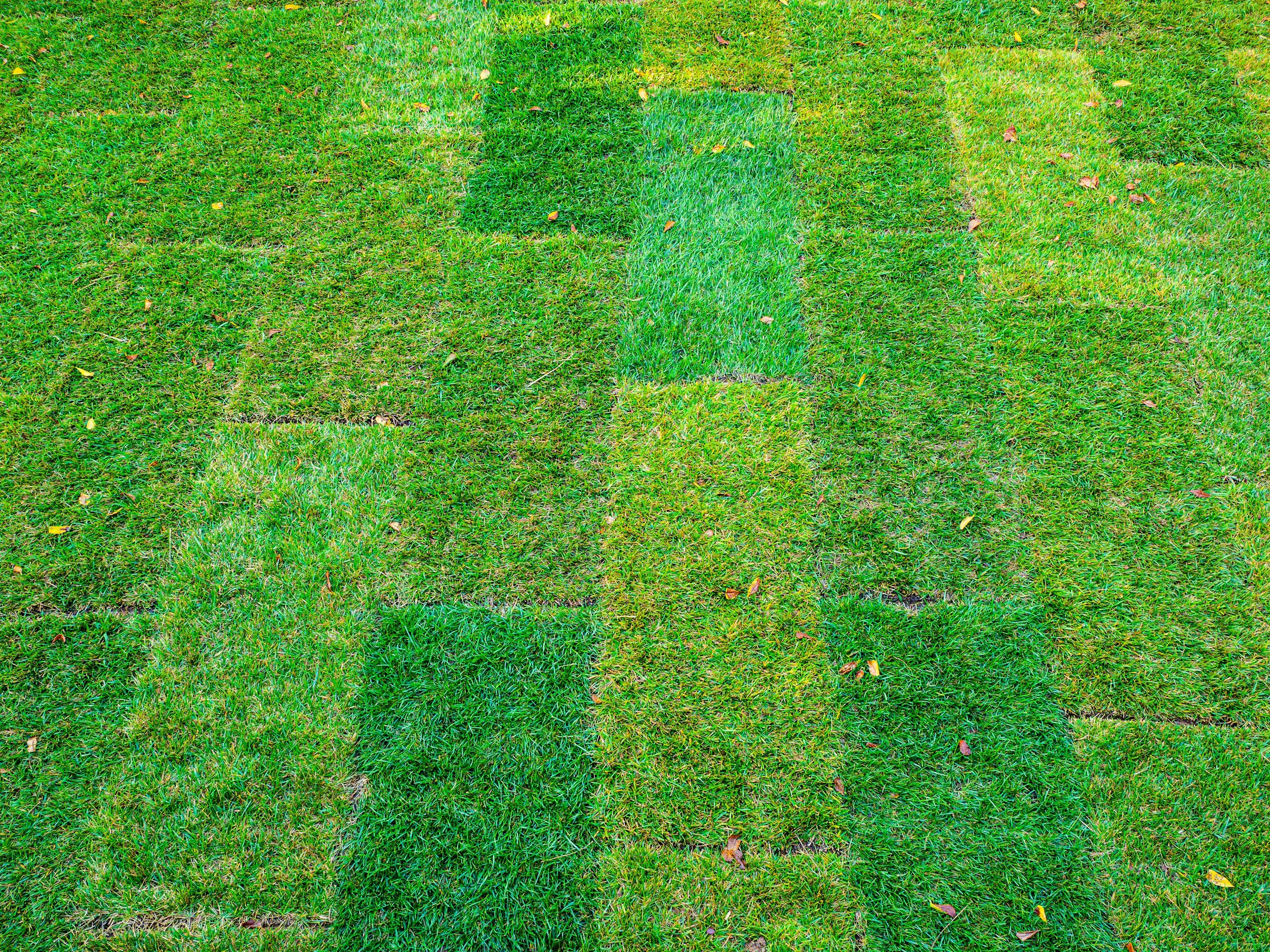 lawn made up of sod panels with different shades of green