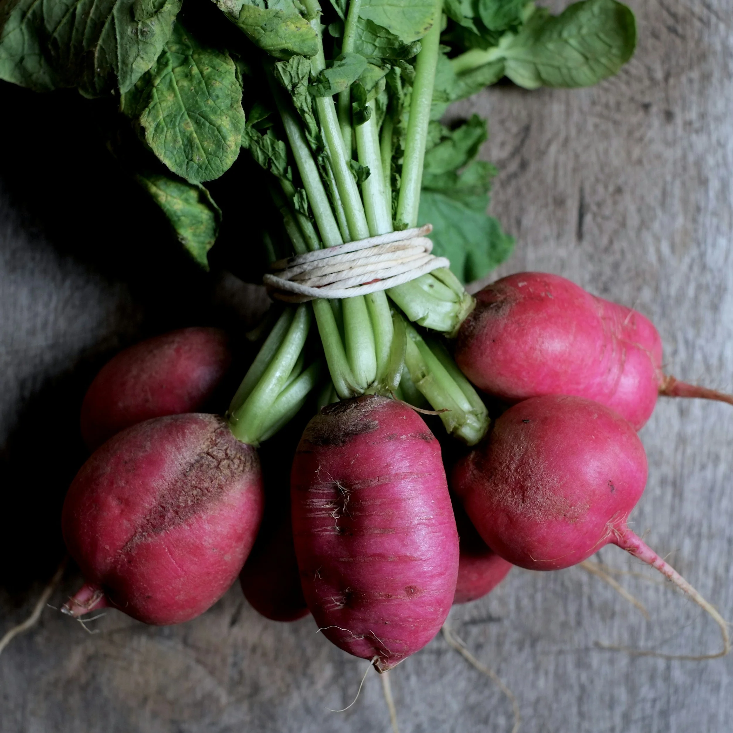 a bunch of harvested radishes tied together with string