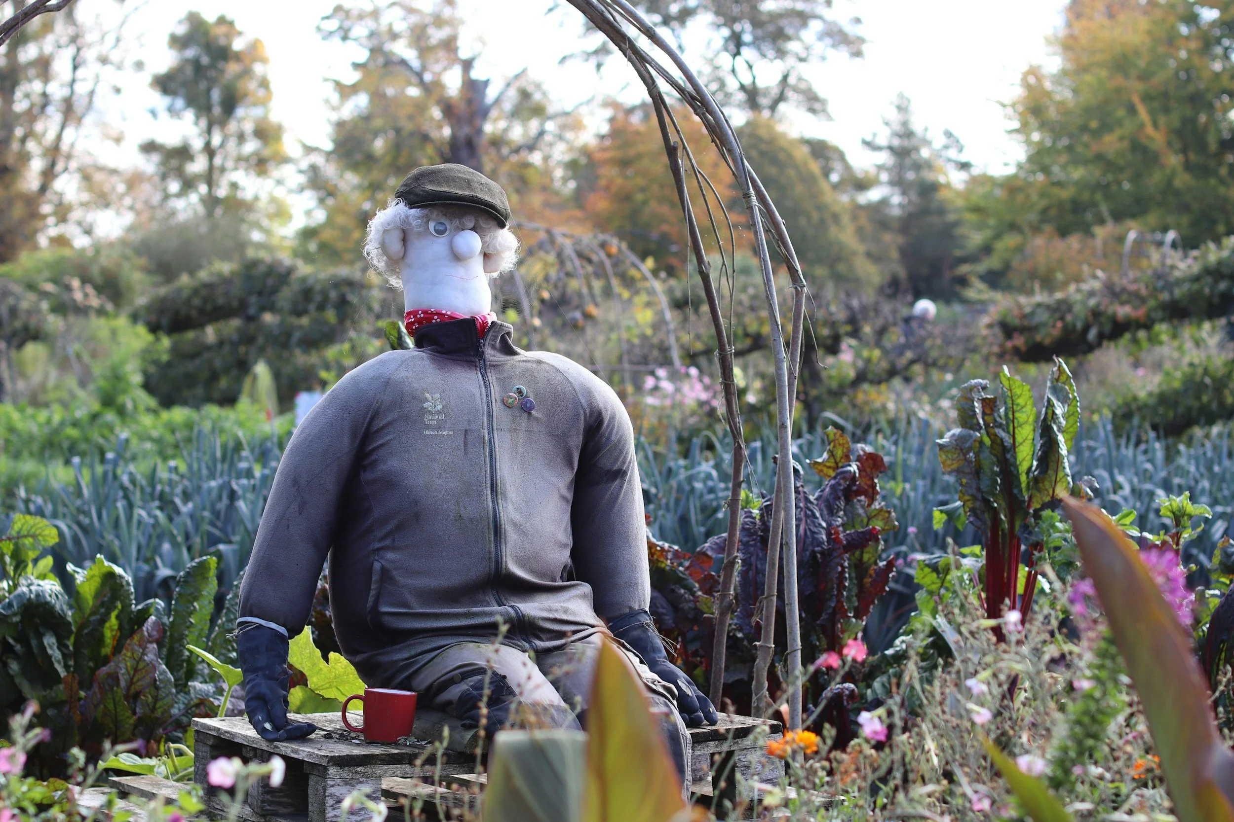 scarecrow sitting in a vegetable garden