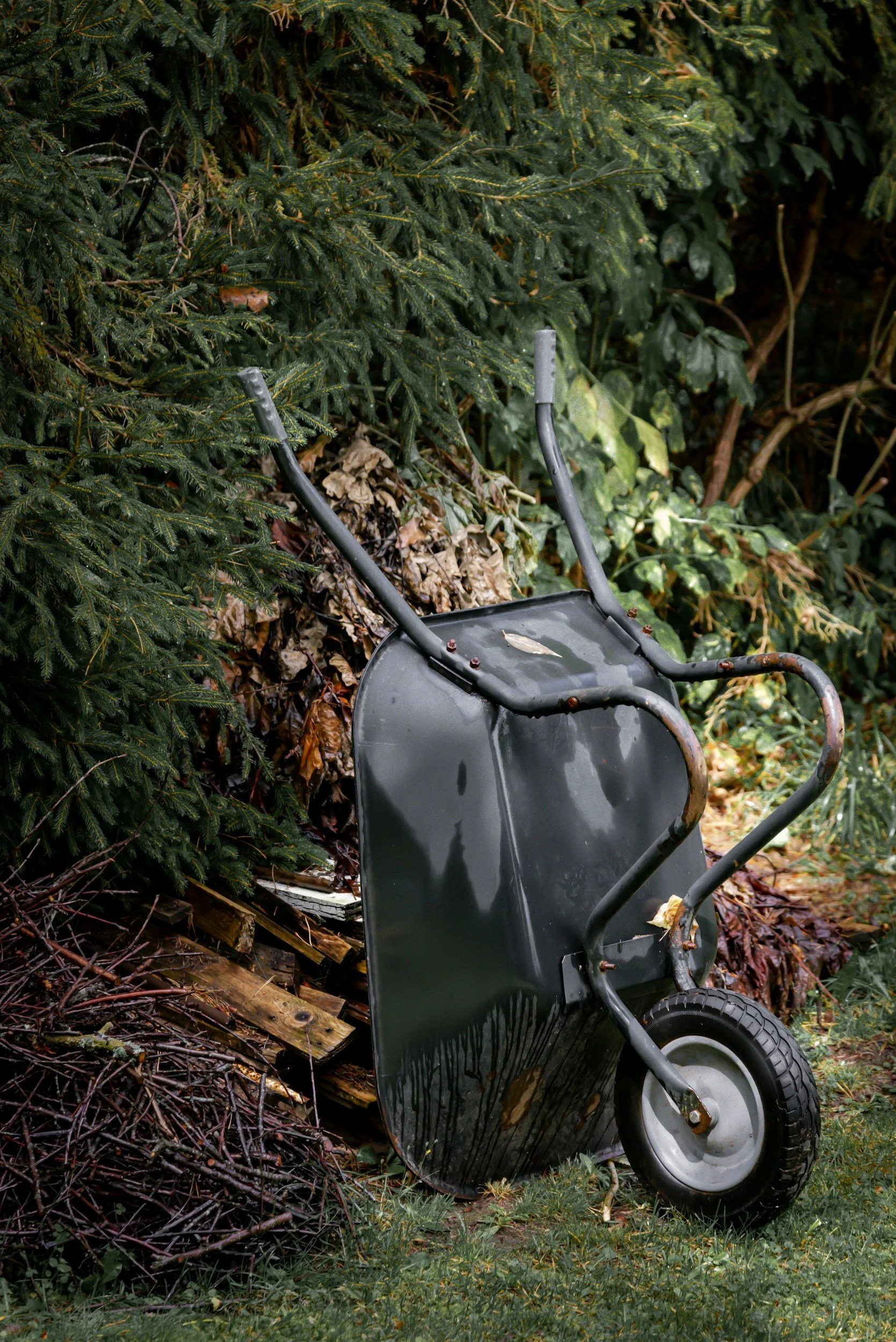 black metal wheelbarrow leaning against wood pile