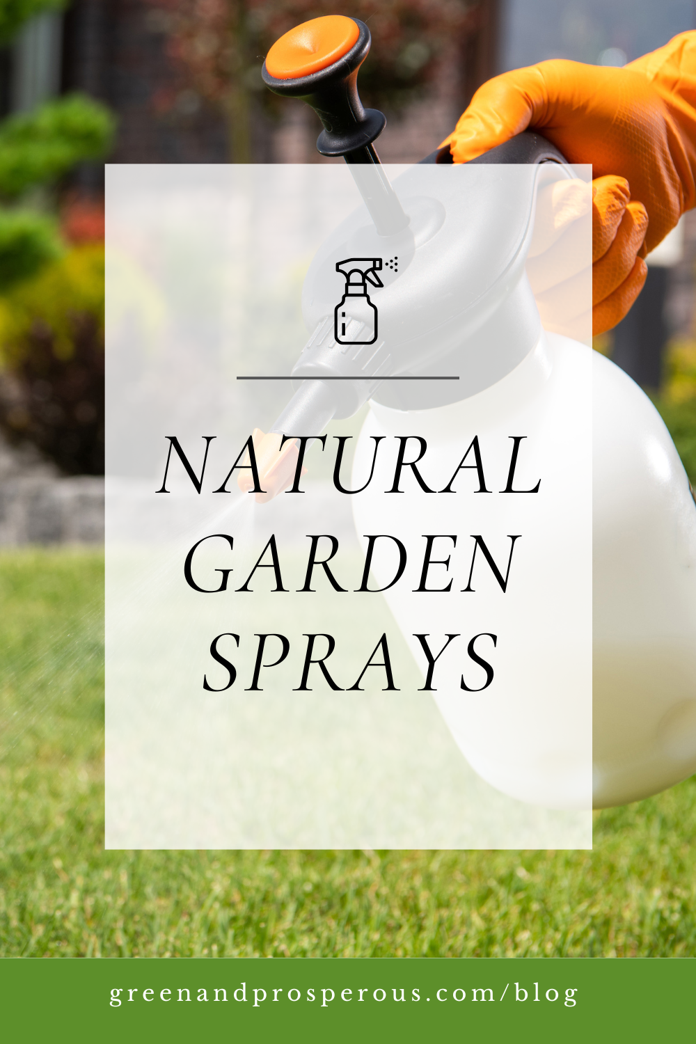 Neem oil and baking soda natural garden sprays used to protect plants from pests and fungal diseases