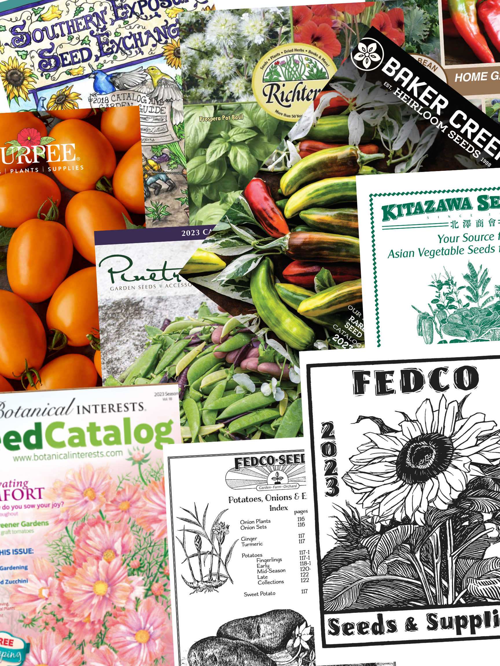 collage of seed catalogs