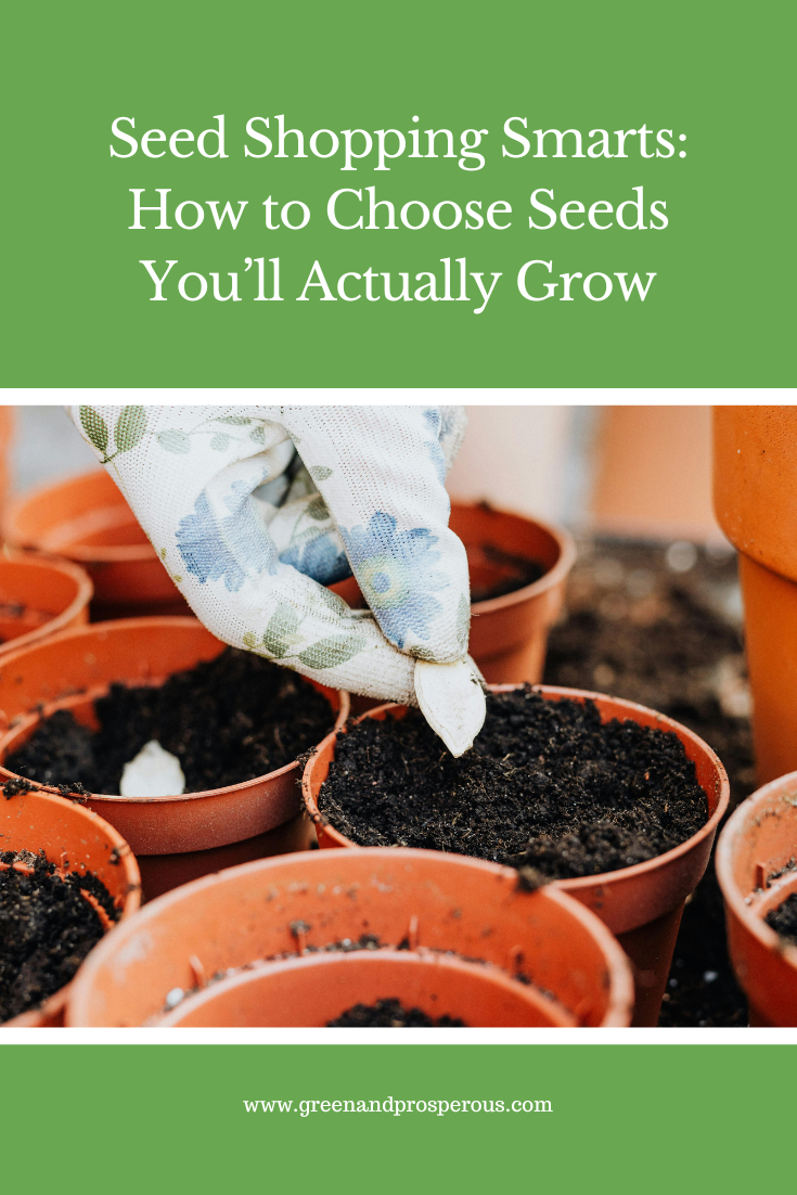 Learn how to choose seeds you’ll actually grow by matching plants to your space, sunlight, climate, and time, so your garden thrives instead of overwhelms.