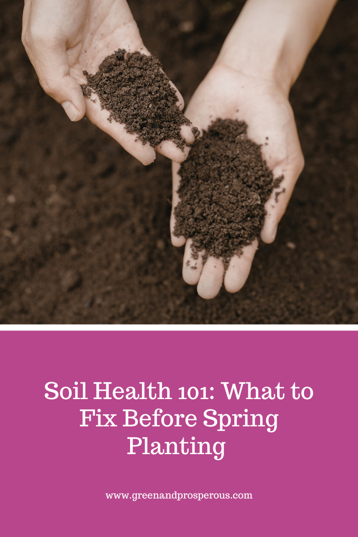 Improve soil health before spring planting. Learn how to test soil, fix pH, reduce compaction, and build organic matter for stronger crops.