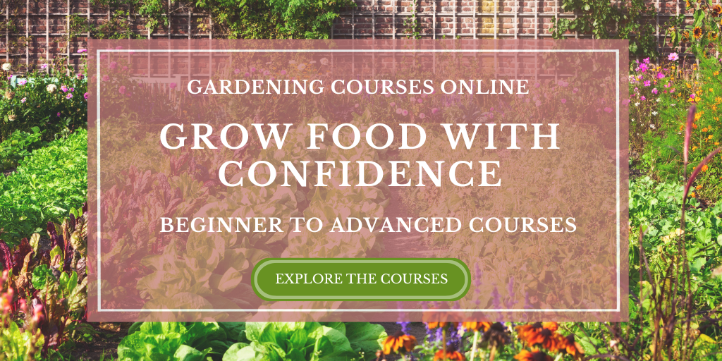 online gardening courses by Green and Prosperous