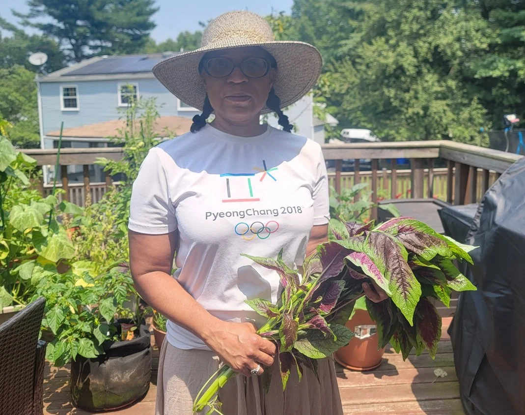 Summer Garden Checklist: What to Do Now for Better Harvests