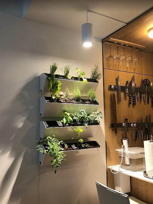 plants on a shelf near a kitchen underneath a full spectrum white grow light